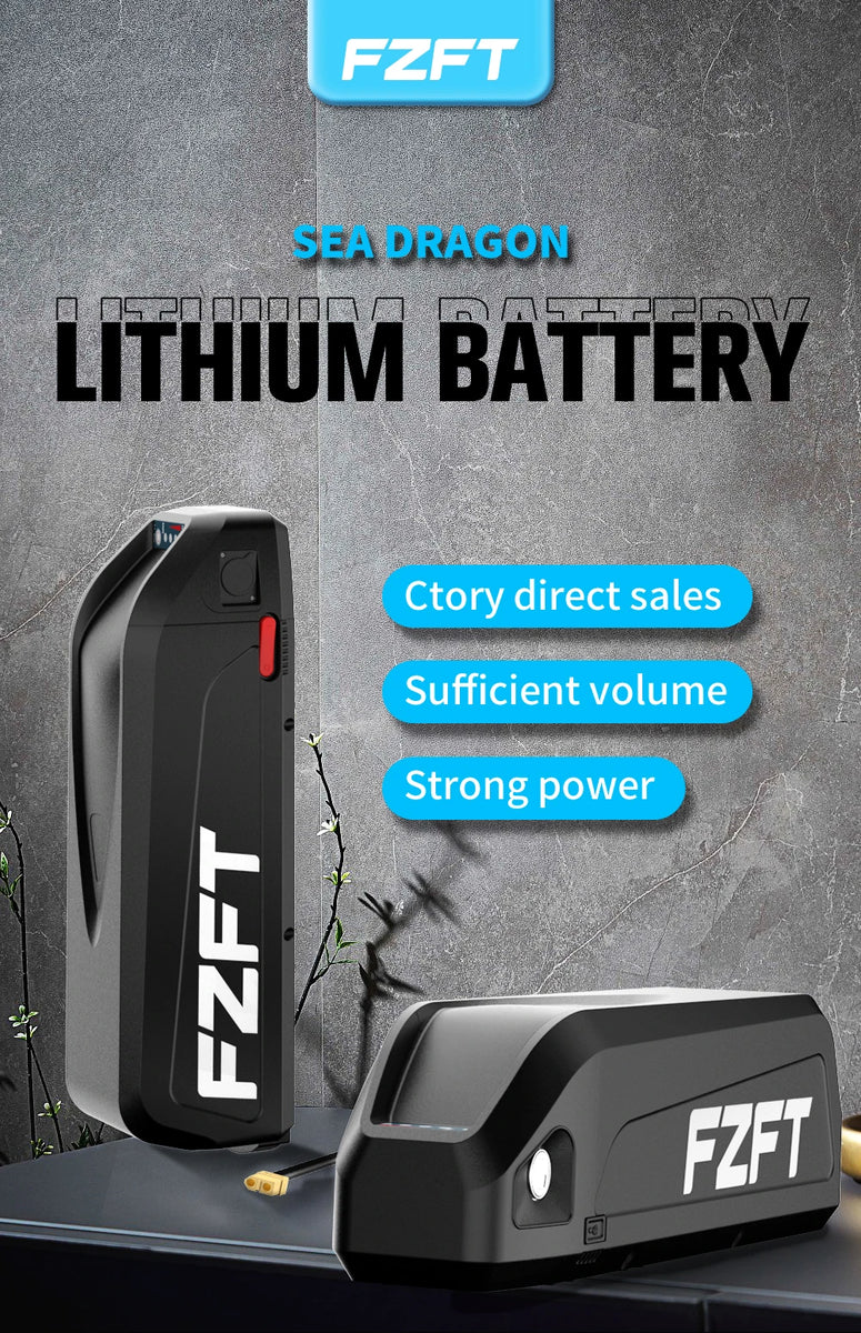 High-Capacity Battery Pack 48V 20Ah Lithium-Ion Battery with USB Charging