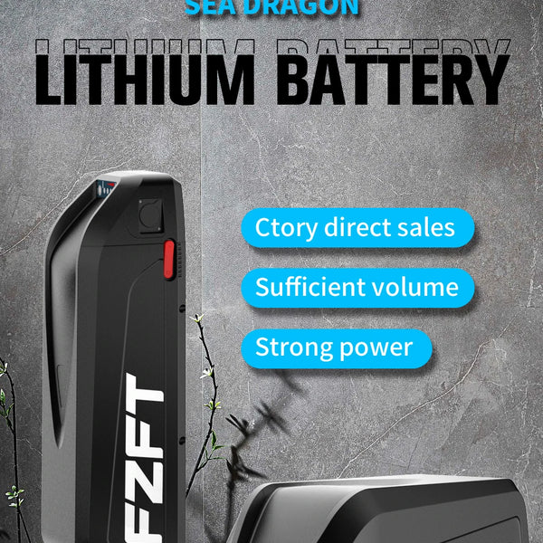 High-Capacity Battery Pack 48V 20Ah Lithium-Ion Battery with USB Charging