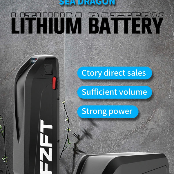 High-Capacity Battery Pack 48V 20Ah Lithium-Ion Battery with USB Charging