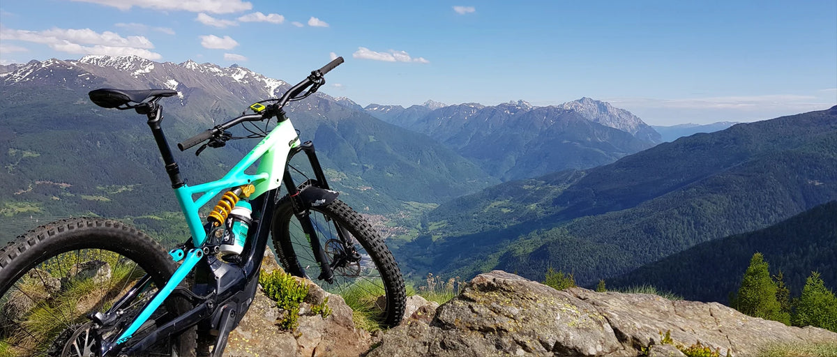 Pistons E-Bike Hydraulic Brake System