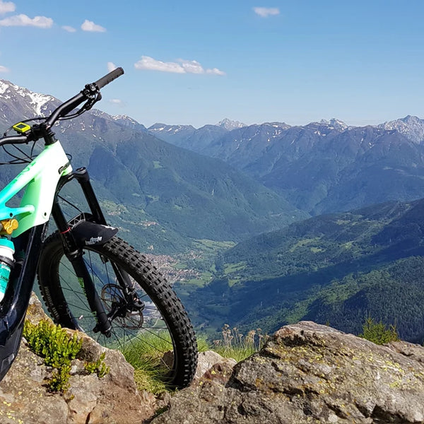 Pistons E-Bike Hydraulic Brake System